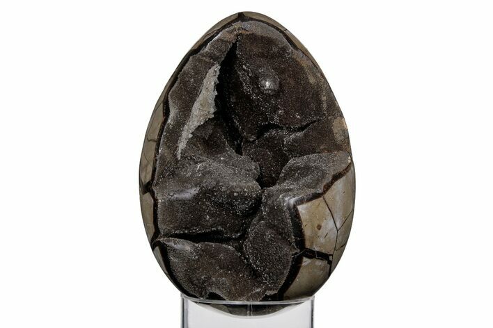 Septarian Dragon Egg Geode - Black Crystals #219100